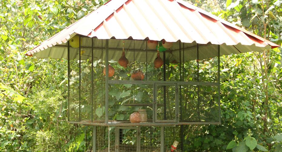 Tea Route Homestay, Wayanad 3
